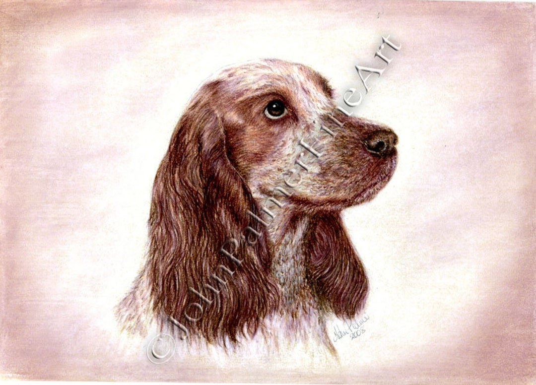 Springer Spaniel Pastel Pattern Springer Spaniel Picture Pet Portrait - Print From My Original Pastel ...