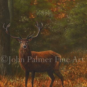 Carte-cadeau avec image de cerf élaphe, peinture de cerf élaphe cadeau de cerf, automne rouge - carte de voeux de ma peinture d'un cerf élaphe