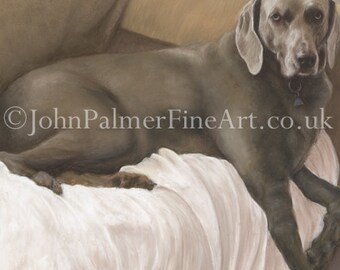 Weimaraner picture pet portrait -  print from my original pastel painting