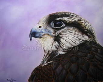 Peregrine Falcon Picture -  Greeting card from my painting a Peregrine Falcon