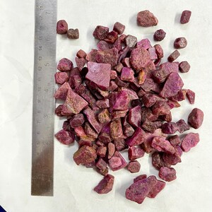Op de afbeelding: Een verzameling ruwe, ongeslepen robijn edelstenen in verschillende maten en vormen. De edelstenen hebben een dieprode kleur. Een metalen liniaal met centimeter maten ligt ernaast.