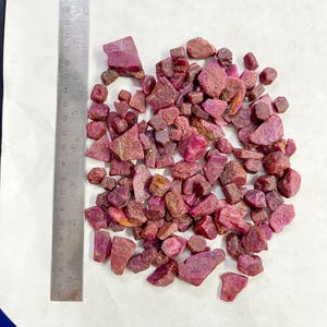 Op de afbeelding: Een verzameling ruwe, ongeslepen robijn edelstenen in verschillende tinten rood en roze. De edelstenen zijn verspreid op een wit oppervlak naast een metalen liniaal.