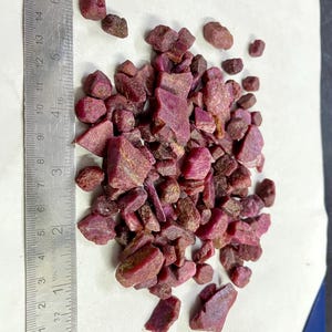 Op de afbeelding: Een verzameling ruwe, ongeslepen robijn edelstenen in verschillende maten en vormen. De dieprode tot paarse stenen liggen verspreid op een wit oppervlak naast een metalen liniaal.
