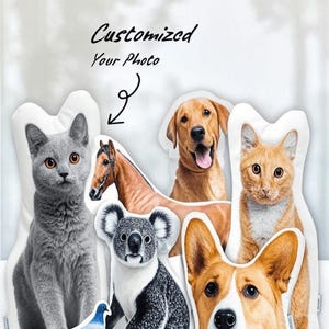 Benutzerdefinierte Haustier Kissen, Hundekissen vom Foto, Katzenkissen, benutzerdefinierte Kuscheltier, Hundegedenkgeschenk, 3D-förmiges Kissen, Fotogeschenke für Hund