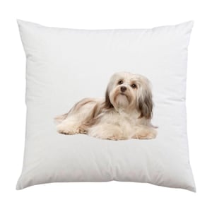 Custom pet pillow, dog pillow from photo, pet memorial, cat pillow, dog portrait pillow, personalized gift pet lover, pet loss gift