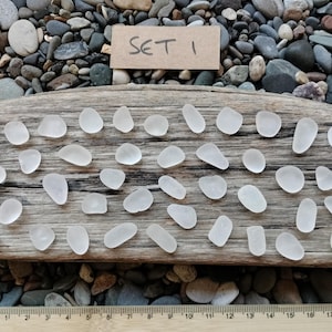 May include: A collection of fifty-two small, translucent white sea glass pieces arranged on a weathered piece of driftwood. A rectangular card labelled SET 1 is placed above the wood, and a wooden ruler shows a length of 22 centimetres.