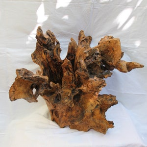 May include: A large, intricately carved piece of driftwood with a natural brown and black color. The wood has a unique, organic shape with many branches and curves.