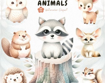 Bosdieren aquarel clipart, aquarel dieren clipart, Decor van de kwekerij, Woodland Baby Shower Clipart, Boho Bosdieren