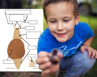 Montessori Cycle de vie de l'Escargot 53 fiches d'activité ludiques pour découvrir l'escargot -Cartes de nomenclature de l'Escargot incluses