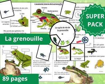 Montessori Super pack Cycle de vie de la grenouille + Livret à fabriquer + Fichier anatomie interne + 61 Cartes incluses