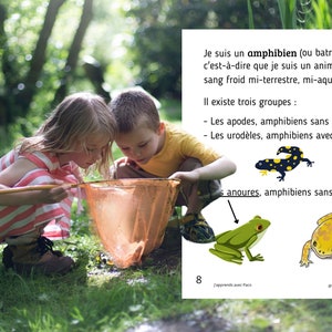 Montessori Cycle de vie de la Grenouille 56 fiches d'activité avec Cartes de nomenclature sur l'anatomie de la grenouille incluses image 3