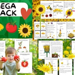 Montessori Mega Pack 161 Fiches Activité Pissenlit Tomate Tournesol - Cycle de vie Anatomie