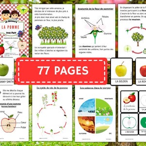 Montessori La Pomme Livret d'activité avec anatomie et cycle de vie 77 fiches d'activité ludiques