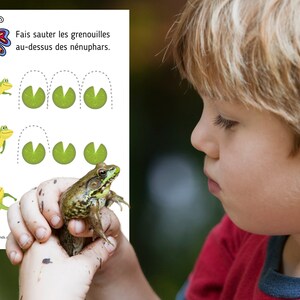 Montessori Cycle de vie de la Grenouille 56 fiches d'activité avec Cartes de nomenclature sur l'anatomie de la grenouille incluses image 6