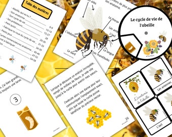 Montessori Cycle de vie de l'abeille 59 fiches d'activité avec Cartes de nomenclature sur l'anatomie de l'abeille incluses