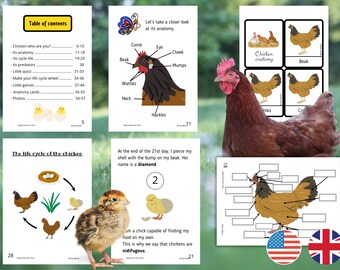 Poule/Poulet Pack 56 fiches Montessori ludiques en Anglais pour découvrir la poule -Cartes nomenclature Anatomie de la poule incluses