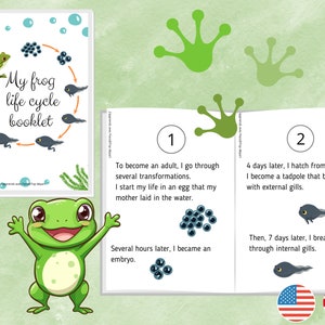 Grenouille Pack of 17 sheets on the Life Cycle of the Frog Unit study Booklet to make on the transformation phases image 2