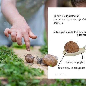 Montessori Super pack Cycle de vie de l'escargot Fichier anatomie interne guide d'élevage 66 Cartes incluses image 3