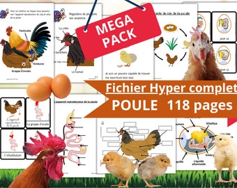 Montessori MEGA pack sur la Poule : Cycle de vie, Anatomie, Reproduction, Formation de l'oeuf,  Développement du poussin dans l'oeuf