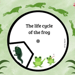 Grenouille Pack of 17 sheets on the Life Cycle of the Frog Unit study Booklet to make on the transformation phases image 1