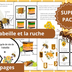 Montessori-Superpaket Lebenszyklus der Biene + Datei verschiedener Teile eines Bienenstocks + 36 Karten enthalten