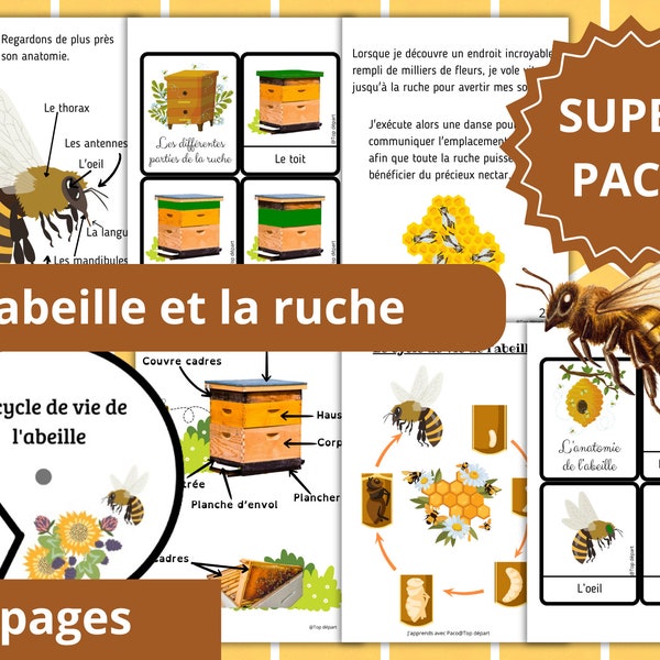 Montessori Super pack Cycle de vie de l'abeille + Fichier différentes parties d'une ruche + 36 Cartes incluses