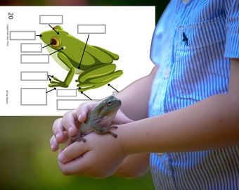 Montessori Cycle de vie de la Grenouille 56 fiches d'activité avec Cartes de nomenclature sur l'anatomie de la grenouille incluses