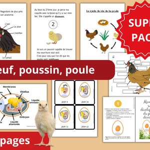Montessori Super pack Cycle de vie de la Poule + Fichier développement du poussin dans l'oeuf + 80 Cartes incluses