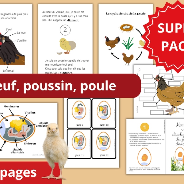 Montessori Super pack Cycle de vie de la Poule + Fichier développement du poussin dans l'oeuf + 80 Cartes incluses