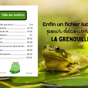 Montessori Cycle de vie de la Grenouille 56 fiches d'activité avec Cartes de nomenclature sur l'anatomie de la grenouille incluses image 2