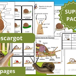 Montessori Super pack Cycle de vie de l'escargot Fichier anatomie interne guide d'élevage 66 Cartes incluses image 1