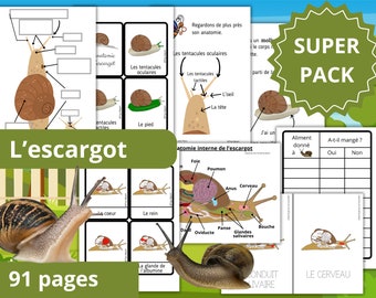 Montessori Super pack Cycle de vie de l'escargot + Fichier anatomie interne + guide d'élevage + 66 Cartes incluses