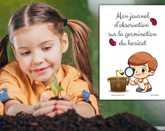 Le haricot Protocole de germination et journal d'observation avec 4 expériences à effectuer