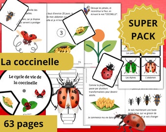 Montessori Super pack Découverte de la Coccinelle + Fichier Cycle de vie + 29 Cartes incluses