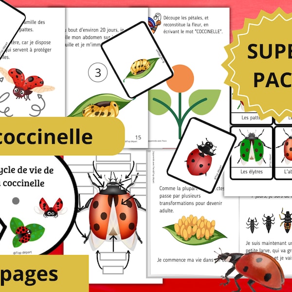 Montessori Super pack Découverte de la Coccinelle + Fichier Cycle de vie + 29 Cartes incluses