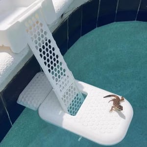 May include: A white plastic pool pet ramp with a textured surface and a honeycomb-patterned ramp. A small brown and tan lizard is resting on the ramp platform, near the edge of a pool with blue water.