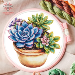 Succulent Plant Cross Stitch Pattern Embroidery, Landscape Cross Stitch Designs, Cross Stitch Chart, Nature Easy Cross Stitch