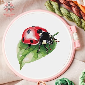 Ladybug Cross Stitch Pattern, Landscape Cross Stitch Designs, Cross Stitch Chart, Nature Easy Cross Stitch