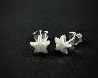 May include: A pair of silver star-shaped stud earrings. The earrings are small, with a textured surface, and are set against a dark background. The star design is simple and classic.