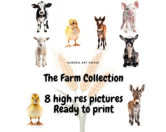 Farm Animal Prints - Set of 8, Kids Nursery Wall Art (Digital Download)