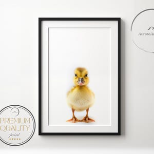 Baby Duck Wall Art Print - Farm Animal - Nursery/ Kids Room Poster  - Printable Digital Download - Duckling