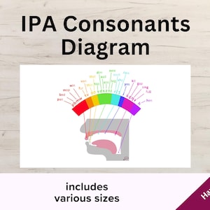 May include: A diagram titled "IPA Consonants Diagram" with a rainbow-colored arc displaying phonetic symbols. The diagram includes a graphic of a mouth and throat, with the text "includes various sizes" and "Handmade Design".