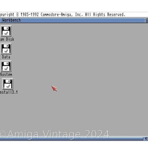 Tarjeta Compact Flash de 8 GB preparada para Amiga