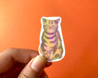 Pegatina de gato / Calcomanía holográfica impermeable