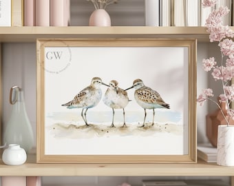 Watercolor Sandpiper Bird Trio Watercolor Digital Download | Coastal Decor | Beach Vibe Artwork | Beautiful Sea Birds Art | Watercolor Birds