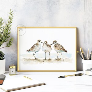May include: Watercolor painting of three sandpipers standing on a beach. The birds are brown and white with long legs and beaks. The background is a light blue watercolor wash.