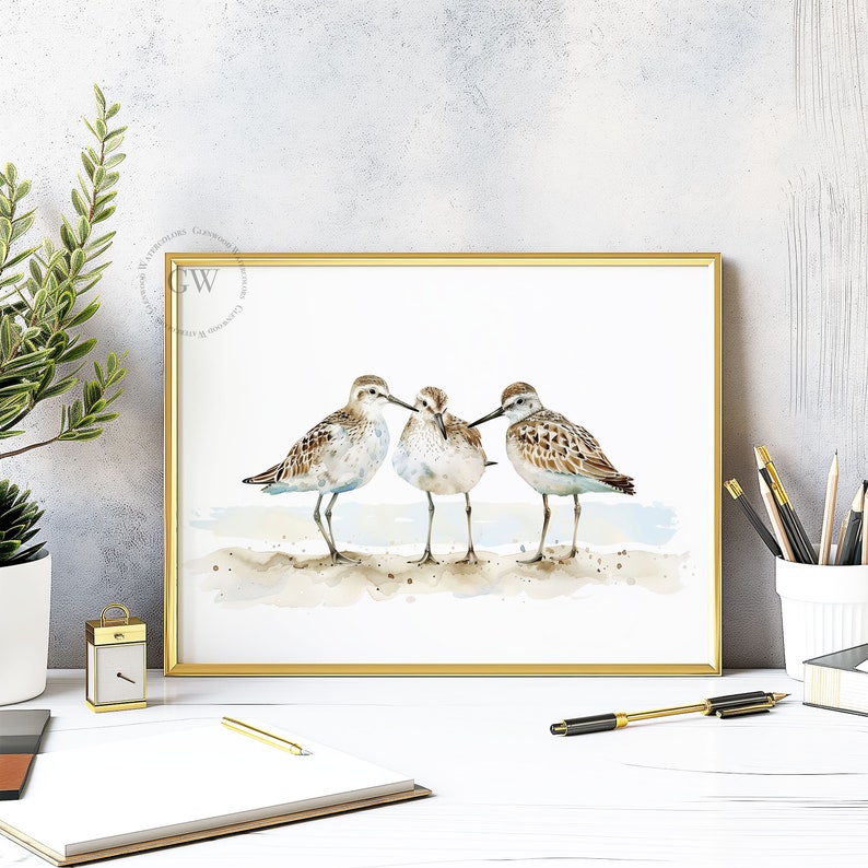 May include: Watercolor painting of three sandpipers standing on a beach. The birds are brown and white with long legs and beaks. The background is a light blue watercolor wash.
