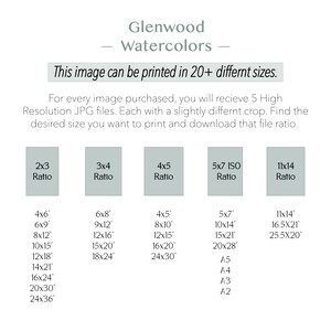 May include: A chart showing different print sizes for a watercolor painting. The chart lists the print size in inches, such as 4x6, 6x9, 8x12, 10x15, 12x18, 14x21, 16x24, 20x30, and 24x36. The chart also lists the print size in metric units, such as A5, A4, A3, and A2.