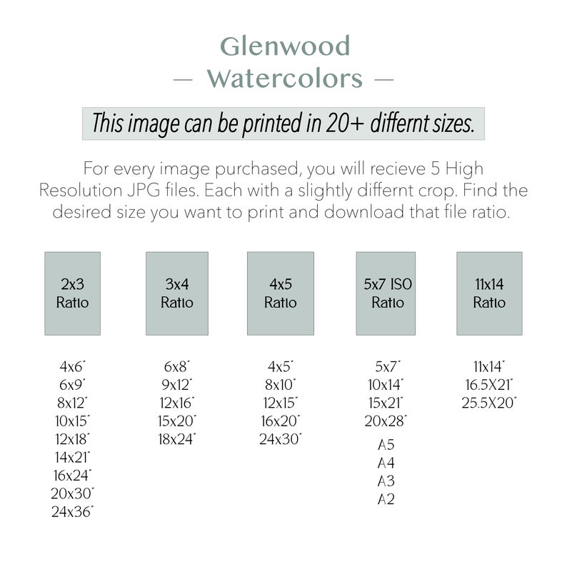 May include: A chart showing different print sizes for a watercolor painting. The chart lists the print size in inches, such as 4x6, 6x9, 8x12, 10x15, 12x18, 14x21, 16x24, 20x30, and 24x36. The chart also lists the print size in metric units, such as A5, A4, A3, and A2.