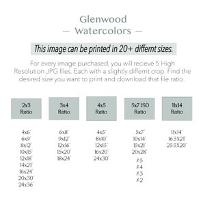 May include: A chart showing different print sizes for a watercolor image. The chart lists sizes in inches and includes standard paper sizes like A2, A3, A4, and A5.